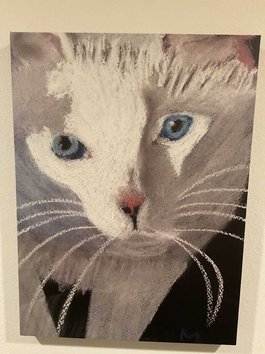 Tali, Up Close & Personal by Marlene D. Cohen 