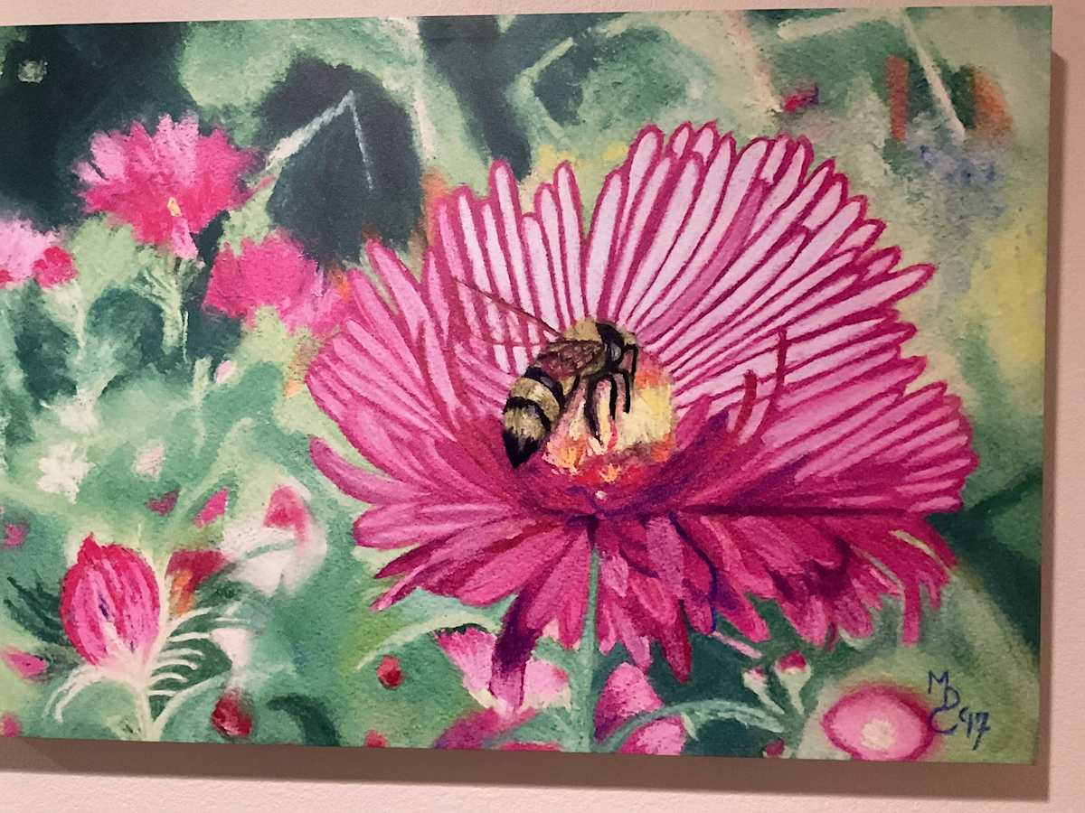 Beeing by Marlene D. Cohen 