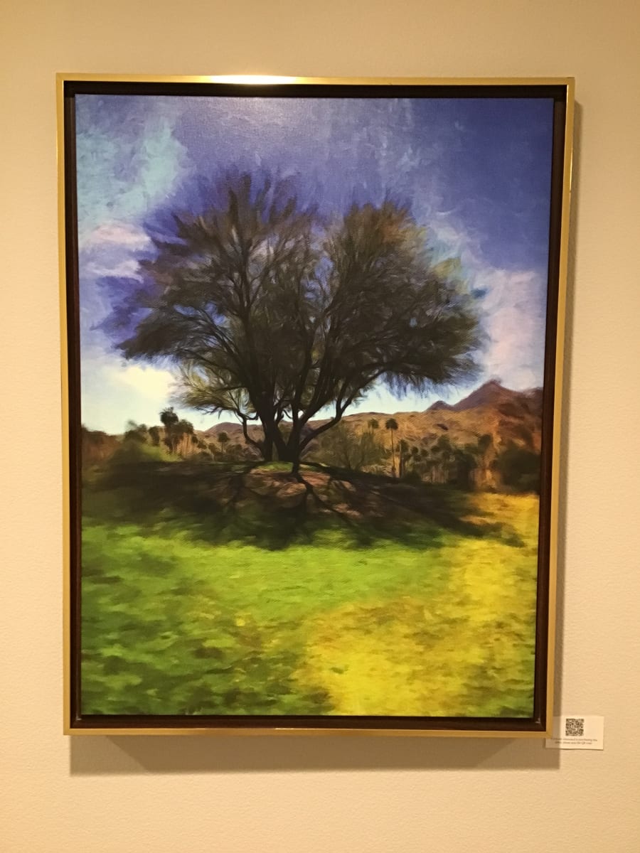 Lonely Tree by Douglas Roper 