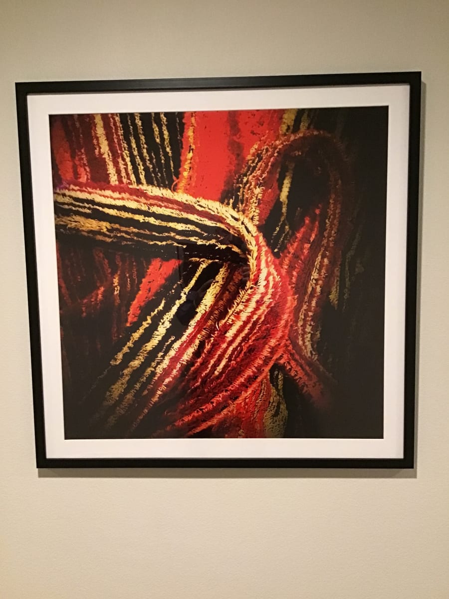 Matador by Douglas Roper 