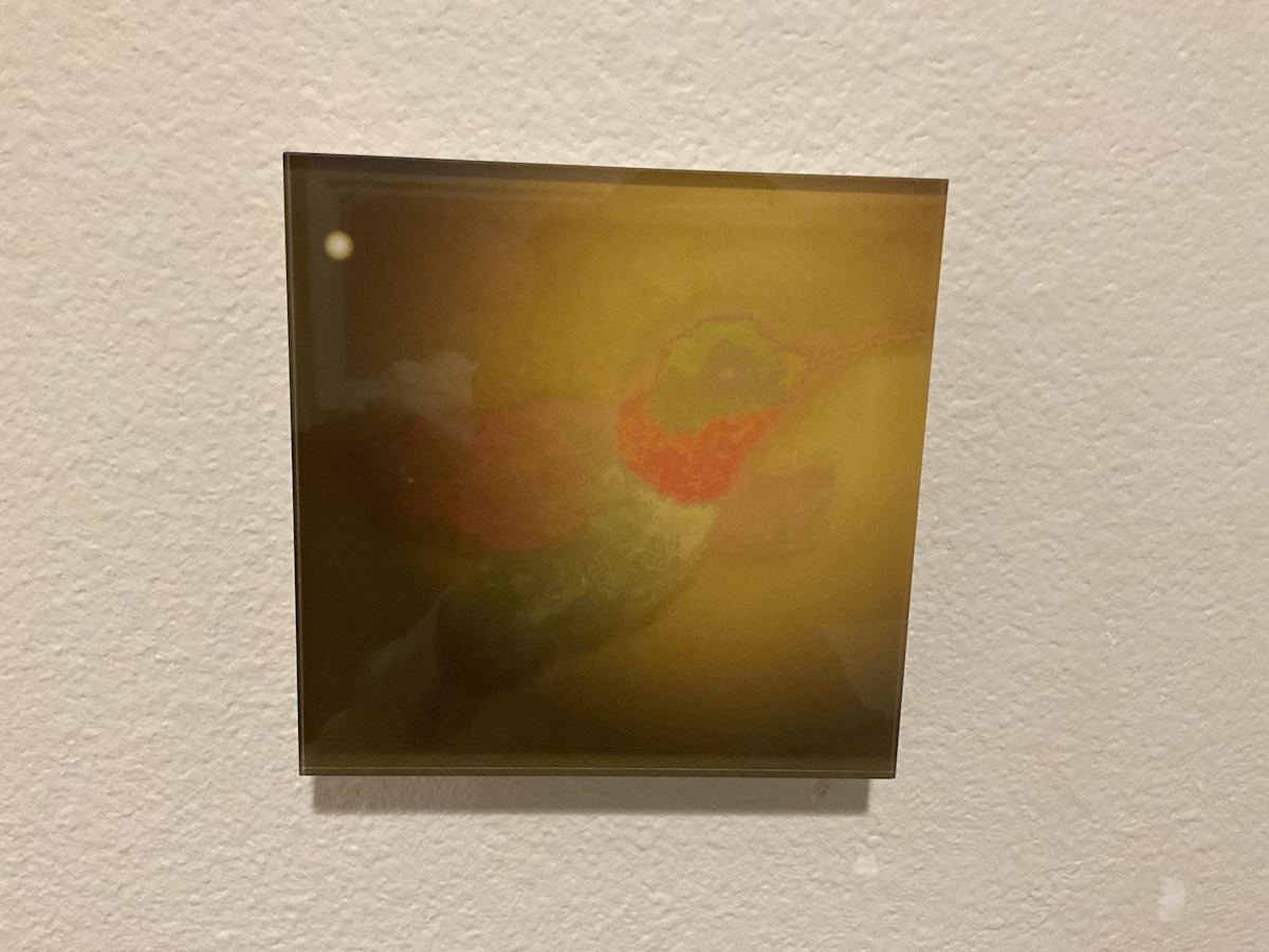 Winkip by Carol Davidson 