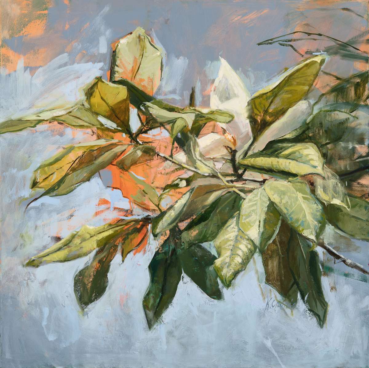 finding light by Kristin  Cronic 