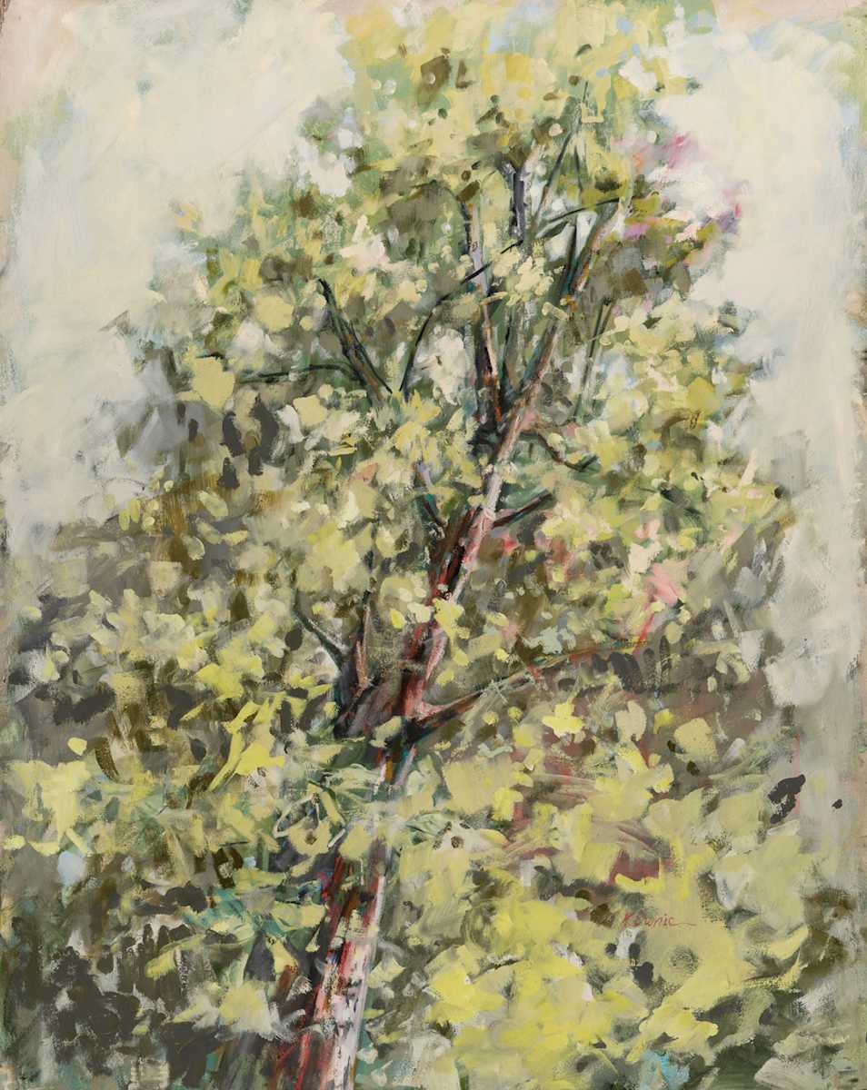 soft place to land II by Kristin  Cronic 