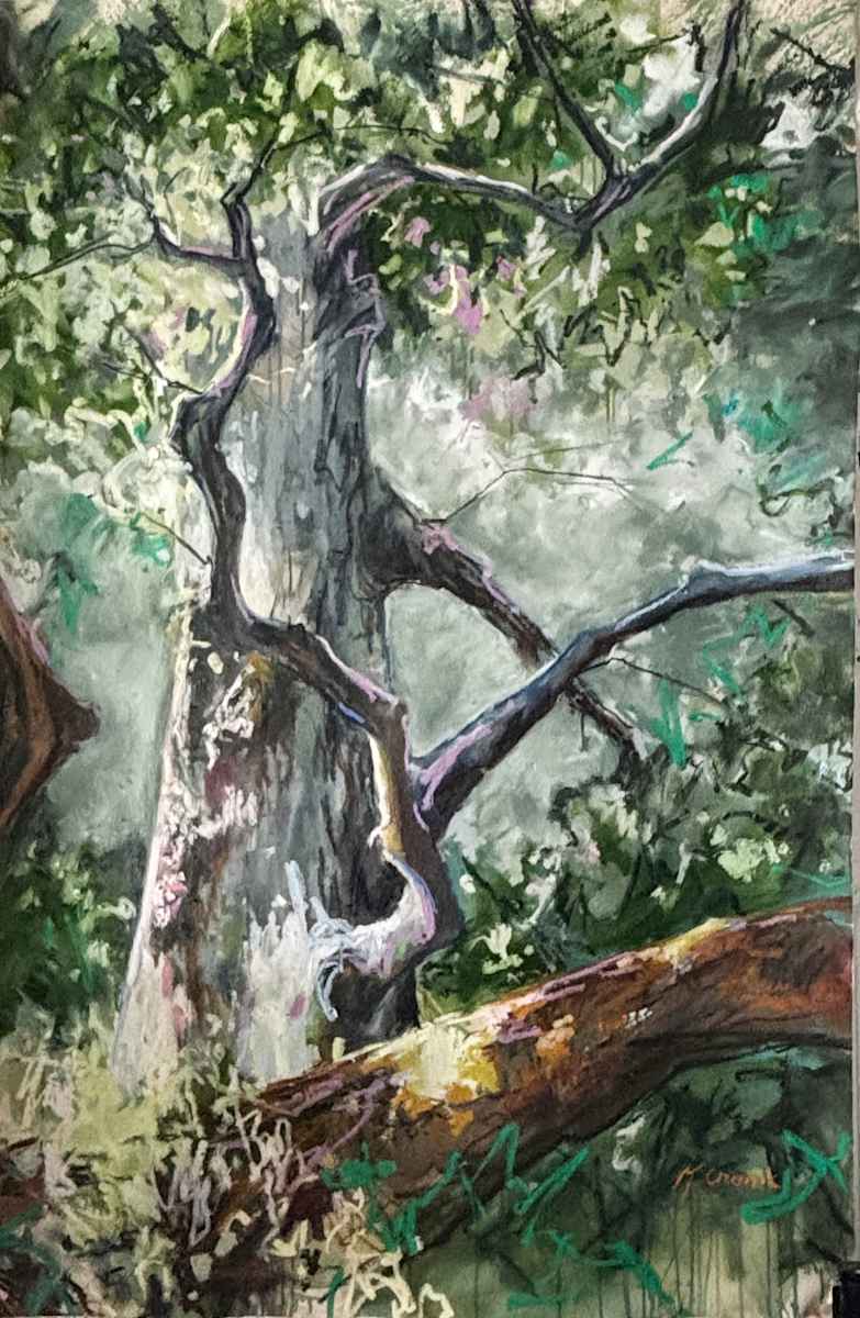 you belong you belong you belong by Kristin  Cronic 