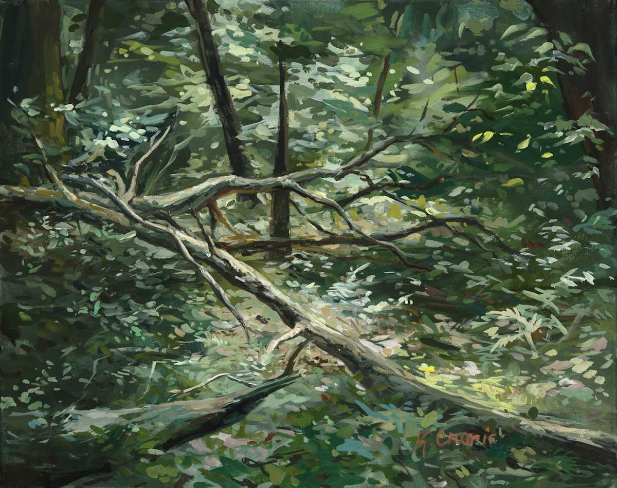 magic in the woods by Kristin  Cronic 