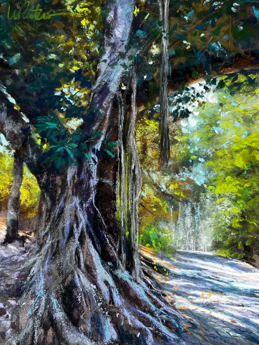 Australian Banyan by Wendy Peterson 