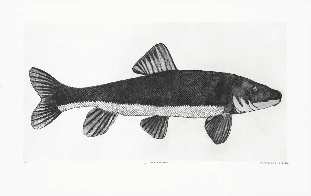 c'waam by Camas Logue, Image 1.