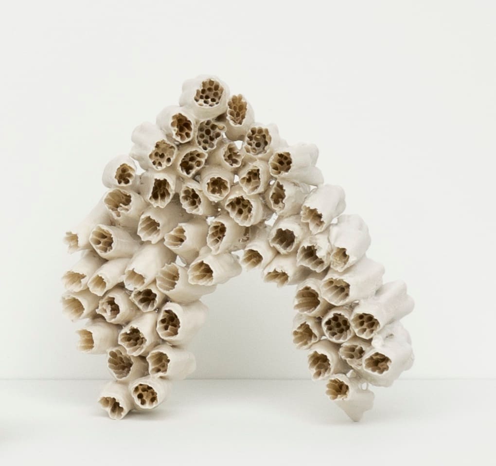 Burnt Out 015 by Kate Rusek 