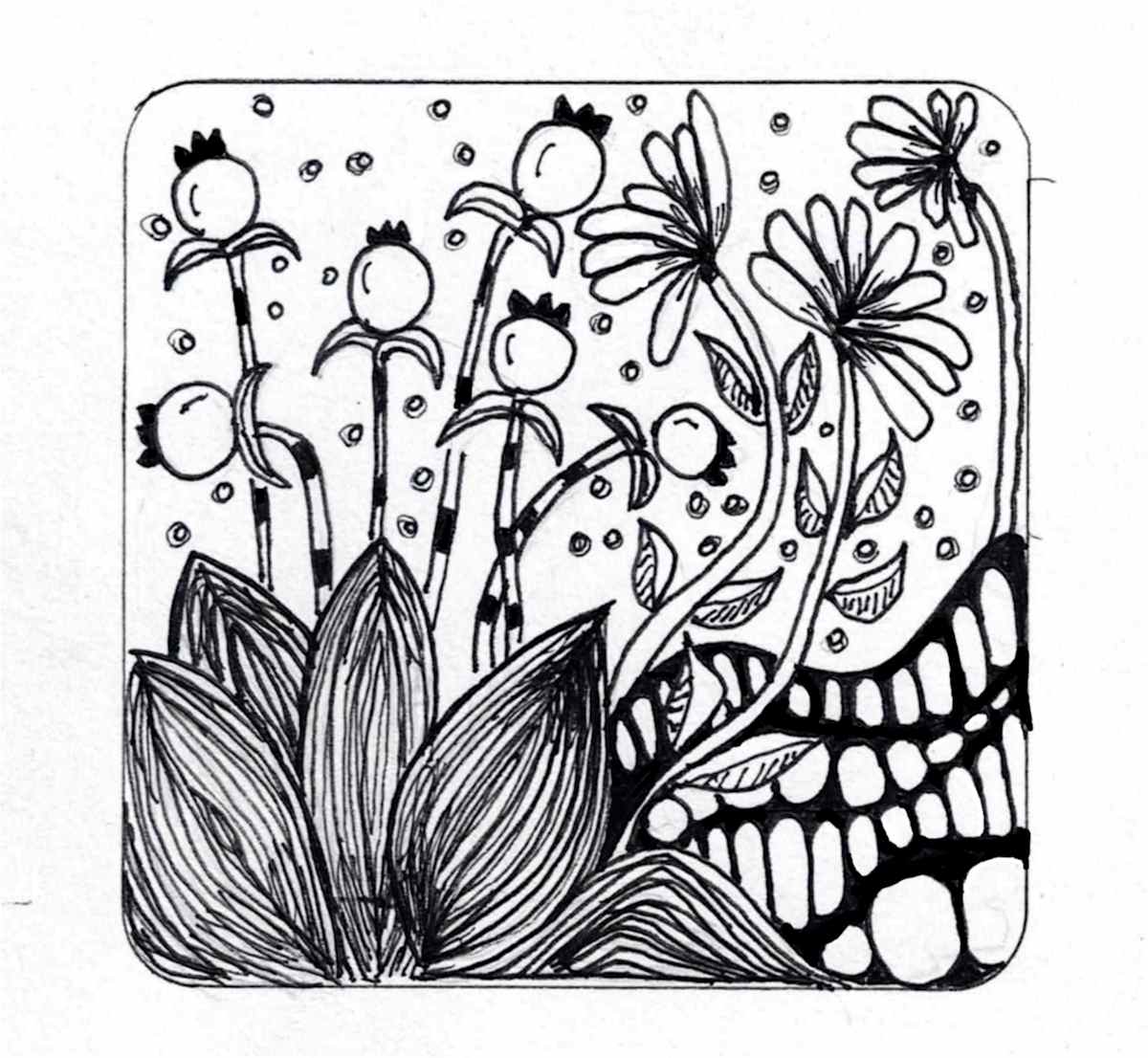 Coaster 12 by Lisa Purrington, Image 1.