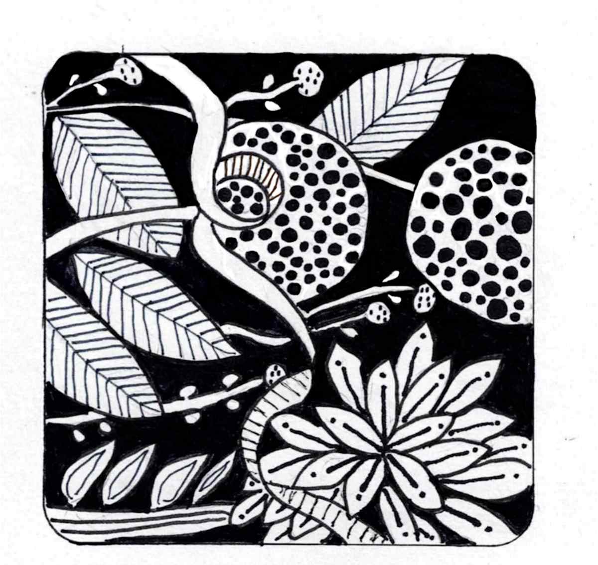 Coaster 17 by Lisa Purrington, Image 1.