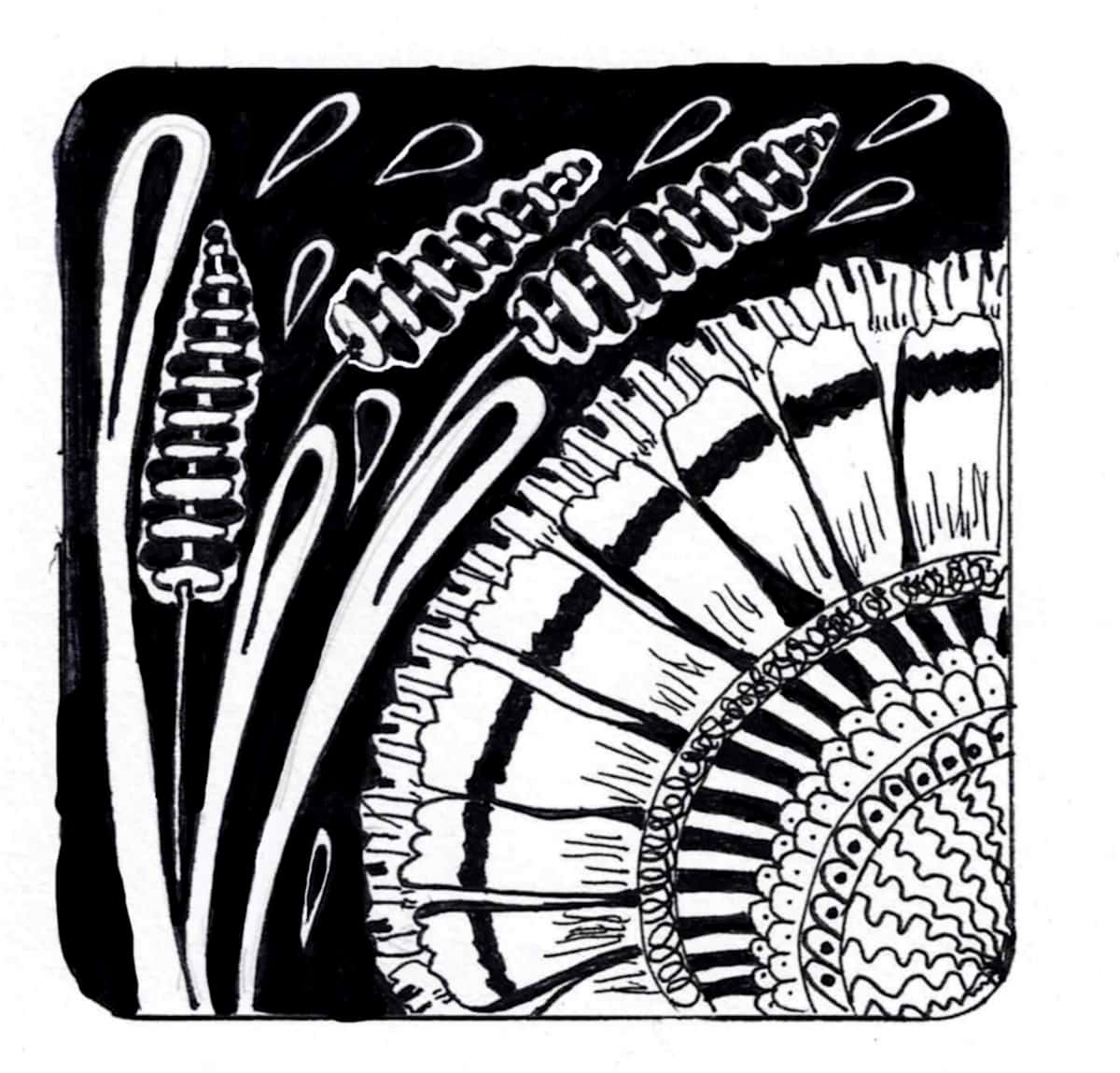 Coaster 6 by Lisa Purrington  Image: Ceramic stone coasters that are naturally absorbent. They will retain moisture to protect your furniture.  They come with a cork back