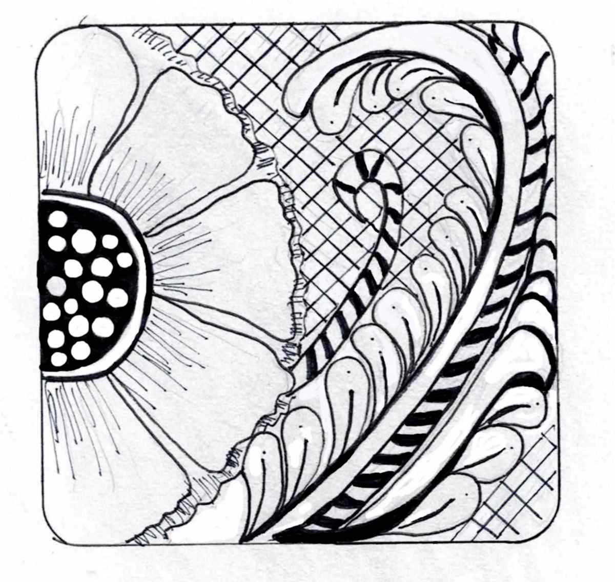 Coaster 8 by Lisa Purrington, Image 1.