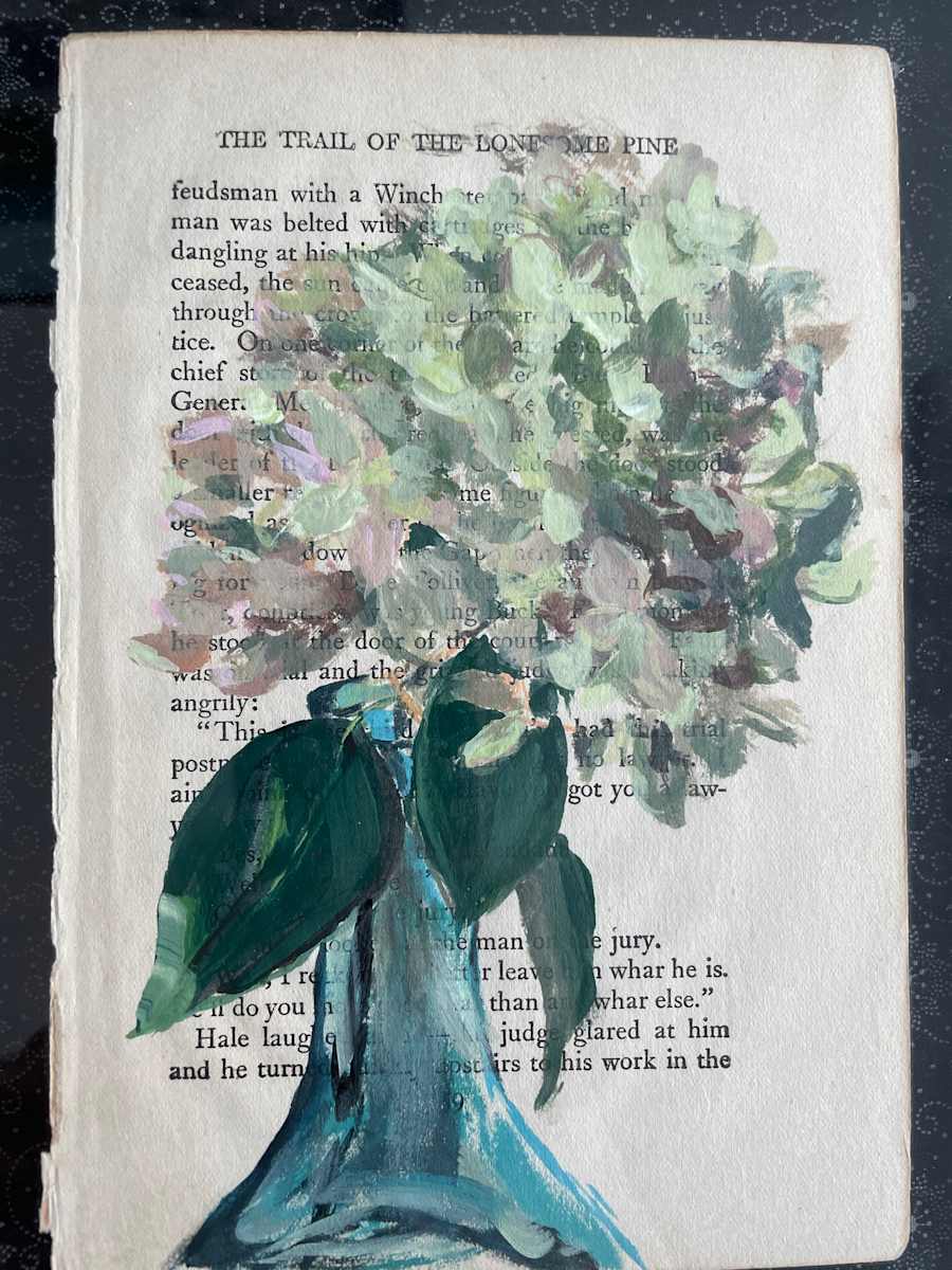 Hydrangea on book page by Sarah Clinton 