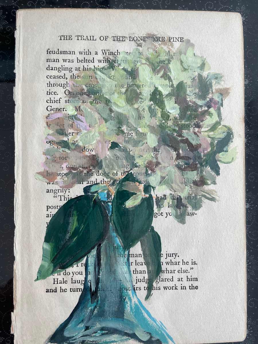 Hydrangea on book page by Sarah Clinton, Image 1.