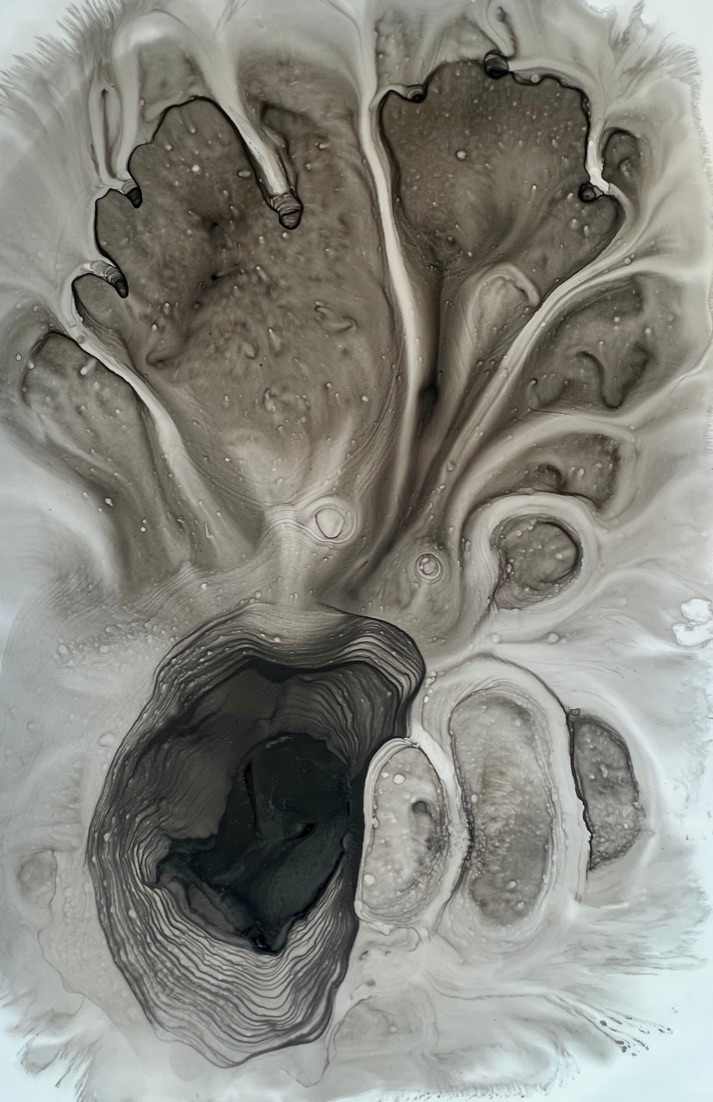 Forsooth I by Cynthia Sumner 