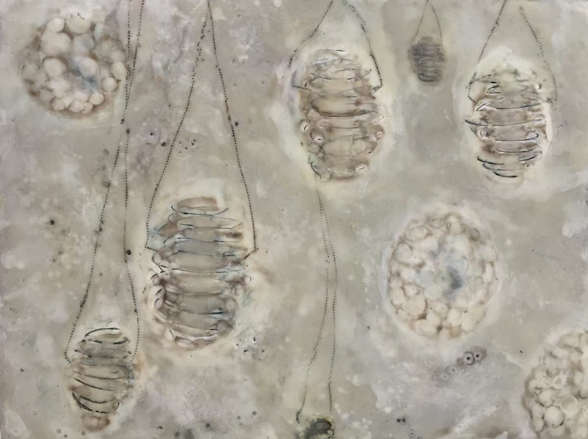 Reticent by Cynthia Sumner, Image 1.