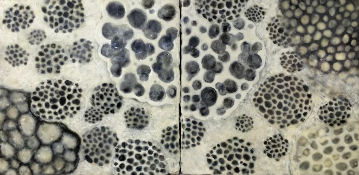 Segue by Cynthia Sumner 