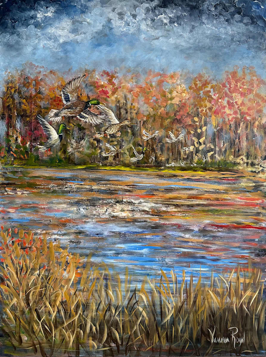 Mallard Cove by Vanessa Royal  Image: Mallards in flight from the perspective of the banks of this quiet slough alive in fall colors. 
