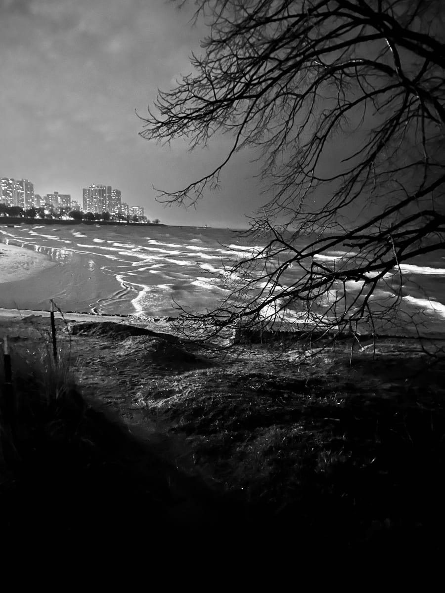 Foster Beach 1 by Lisa Zane, Image 1.