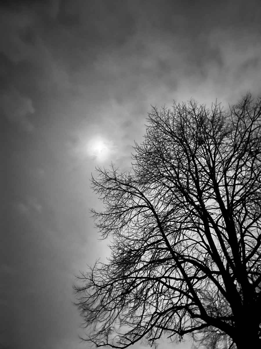 Foster Beach 2 by Lisa Zane 