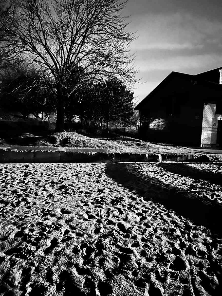 Foster Beach 7 by Lisa Zane, Image 1.