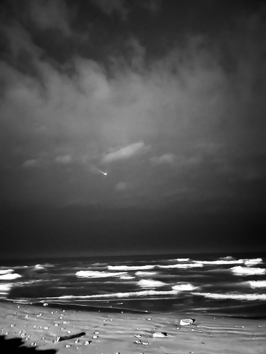 Foster Beach 6 by Lisa Zane, Image 1.