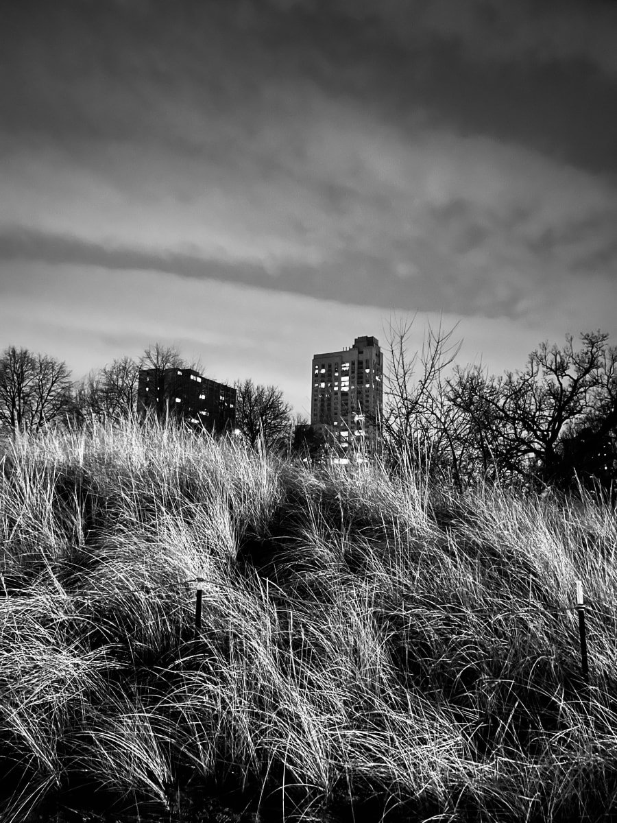 Foster Beach 5 by Lisa Zane, Image 1.