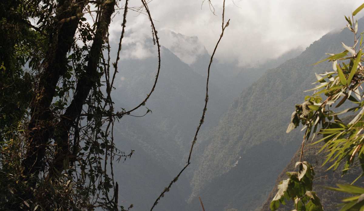 Machu Picchu 5 by Lisa Zane 