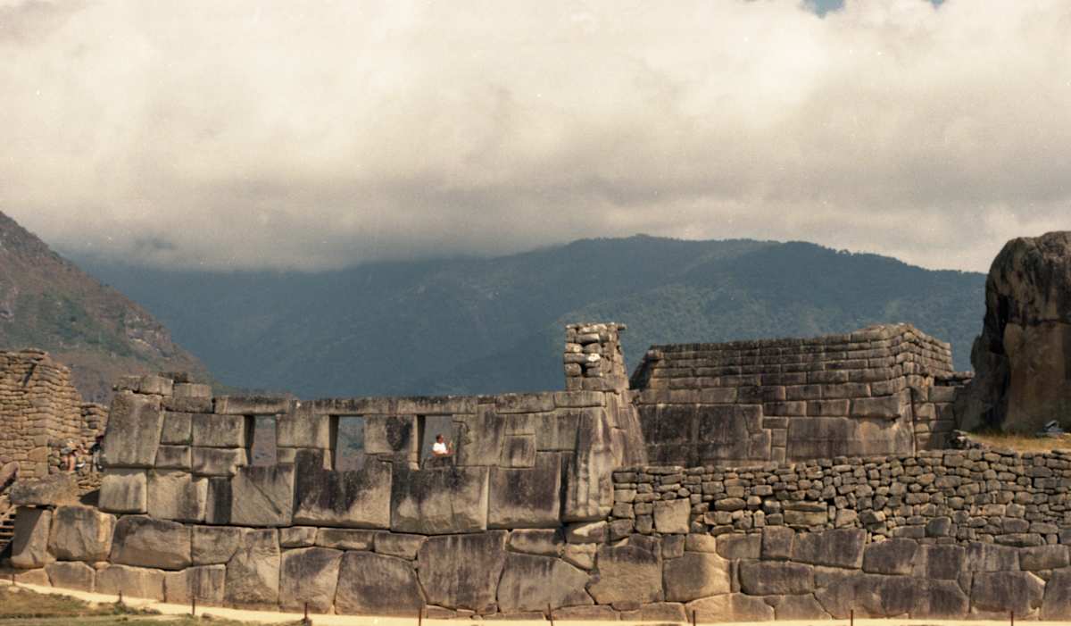 Man in a White Shirt by Lisa Zane 