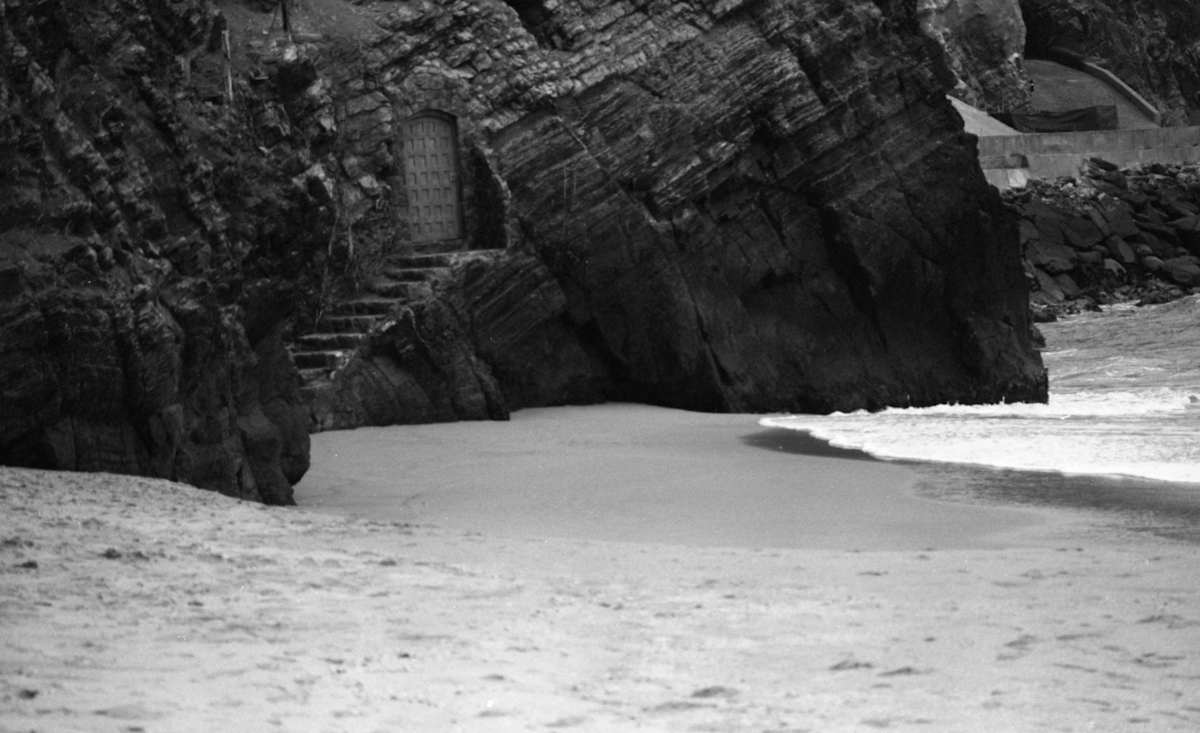 The Door by Lisa Zane 