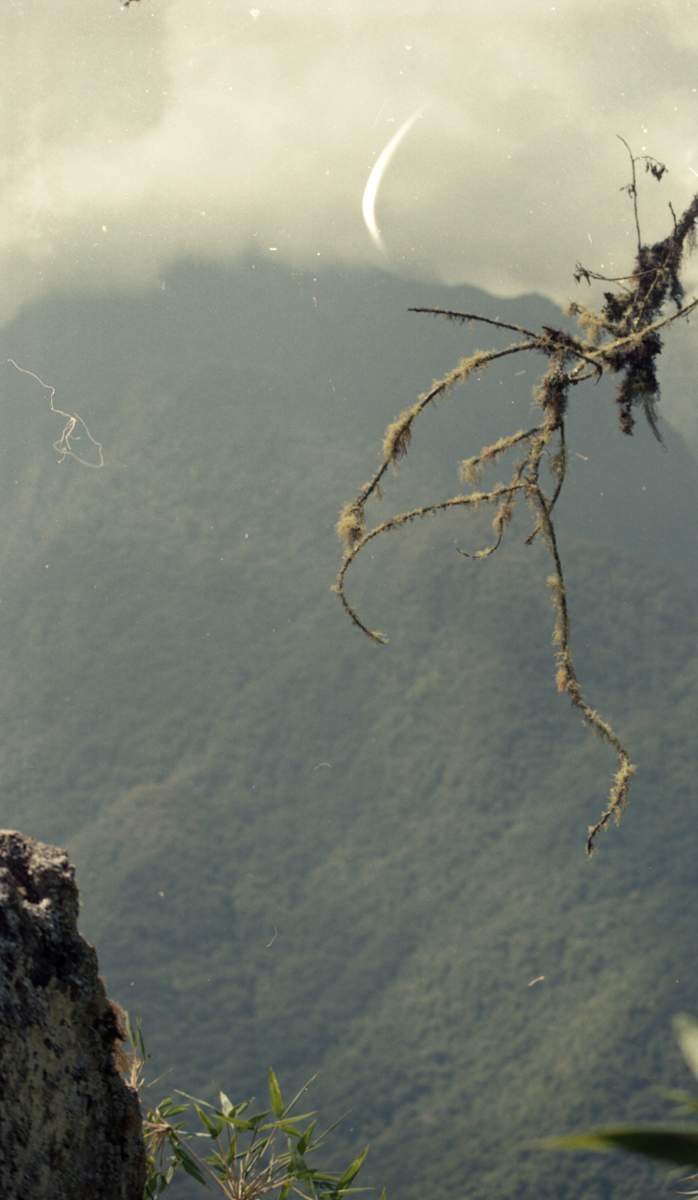 Macchu Picchu 12 by Lisa Zane 