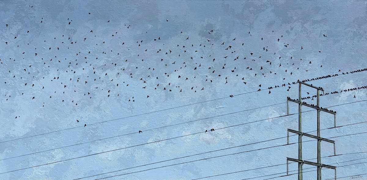 Then Off They Go by Corinna Nicole, Image 1.