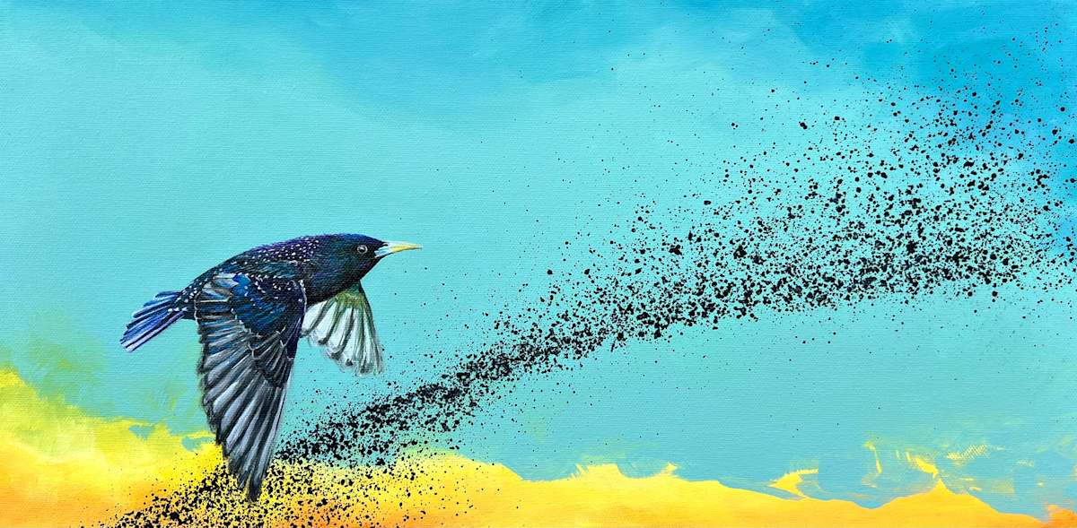 Starling in Flight by Corinna Nicole, Image 1.