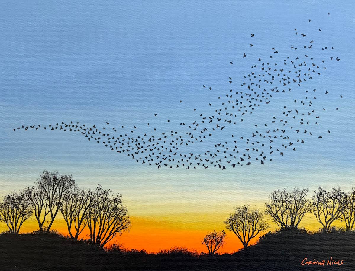 Unexpected Wonder by Corinna Nicole, Image 1.