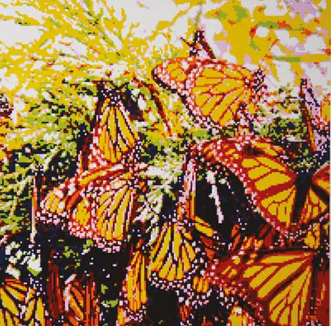 Monarchs 2 by Matt Donovan 