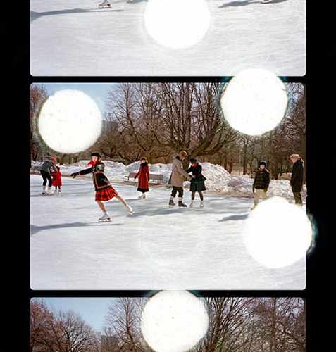 Regular 8 (skaters) by Sara Angelucci, Image 2.