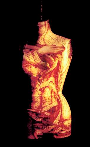 Cleave II by Christine Davis, Image 2.