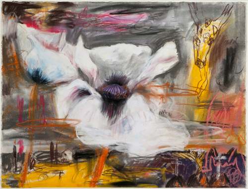 Pink Oriental Poppy by John Hartman, Image 1.