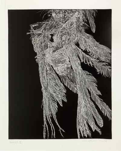Crow IIR by Paul Fournier, Image 1.
