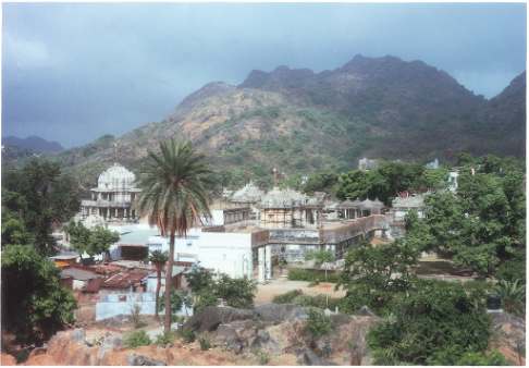 Exterior View, Dilwara Group of Temples by Mount Abu, Rajasthan 