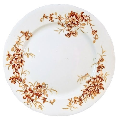 Anemone by Smith, Ford & Jones  Image: Pattern