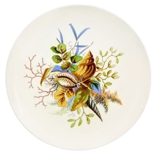 Unnamed (Seaweed, Coral, & Shells) by Pinder, Bourne & Co.  Image: Pattern