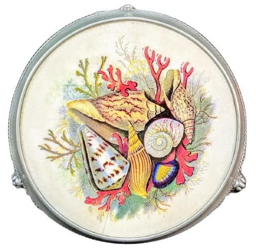 Unnamed (Shells & Seaweed) by Unknown Maker 
