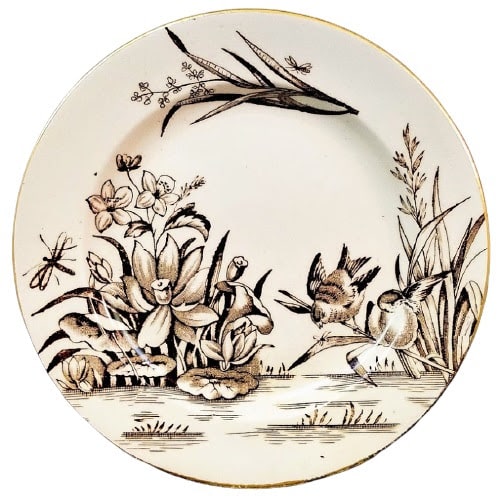 Amazon by Cumberlidge & Humphreys  Image: Pattern
