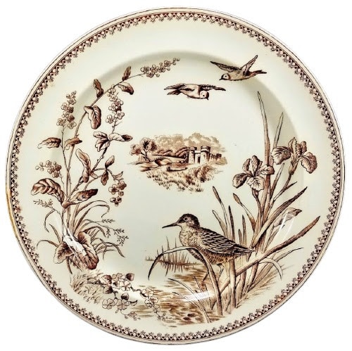 Florentine by J. Dimmock & Co. (W. D. Cliff) 