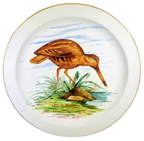 Unnamed (English Birds - Sandpiper) by E. J. D. Bodley, E. F. Bodley & Co., E. F. Bodley & Son 
