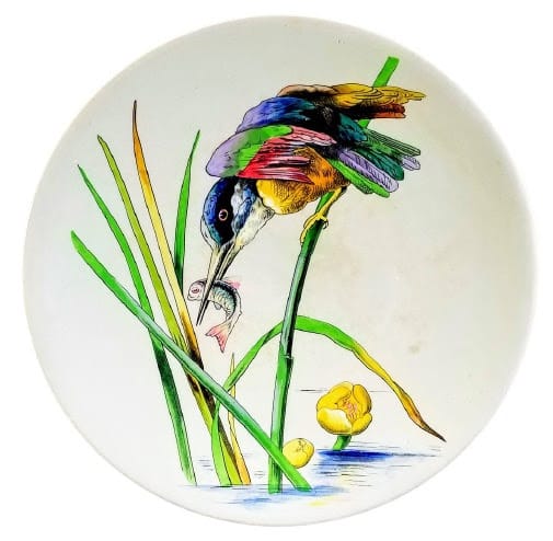Danish Birds by E. F. Bodley & Co. 