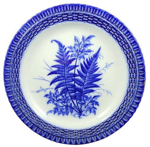 Unnamed (Ferns) by Pinder, Bourne & Co. 