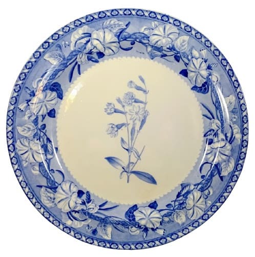 Unnamed (Silene) by Josiah Wedgwood, Image 1.