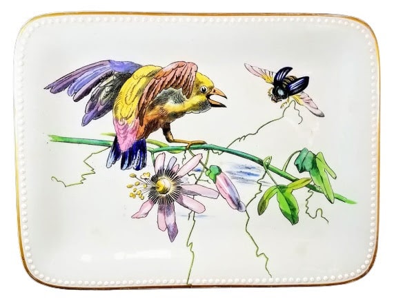 Danish Birds by E. F. Bodley & Co. 